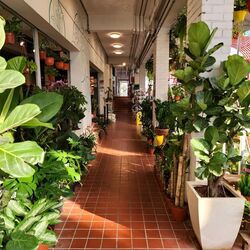 Kovan City (D19), Retail #569183661